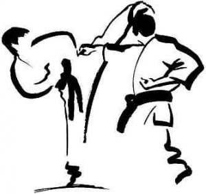 taekwondo-grafik1